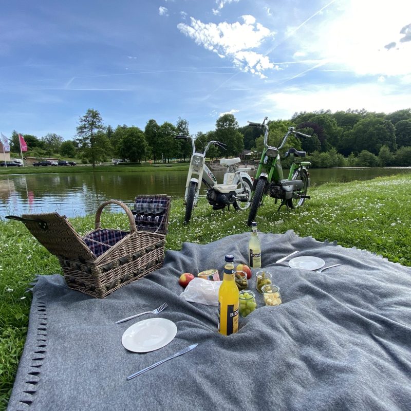 Picknick am Elsenzer See